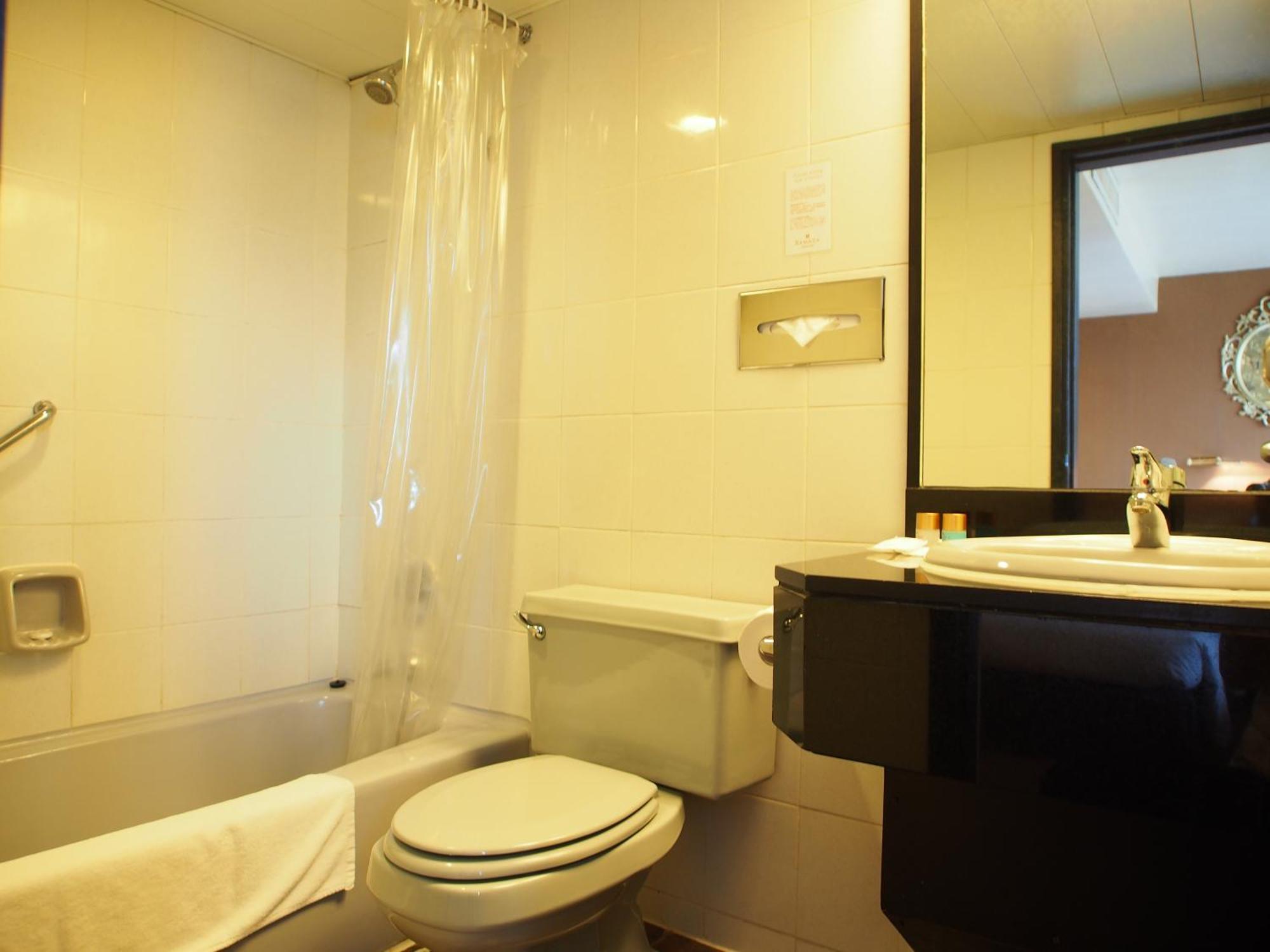 Superior Double or Twin Room with City View